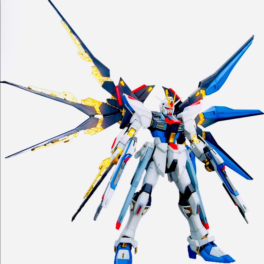 Gundam Strike Freedom Full Burst Model Kit MG